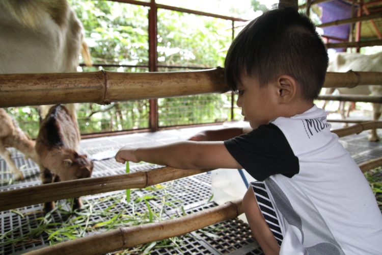 Kids Camp at The Farm aims to awaken the entrepreneur and nature-lover in every child.