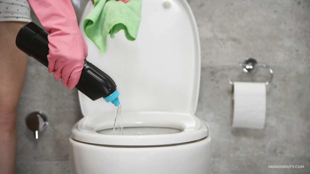 Read more about the article Tried & Tested: Wanda Toilet Cleaning System